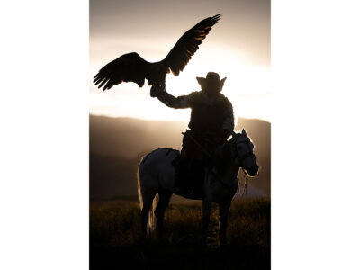 Eagle Hunter
