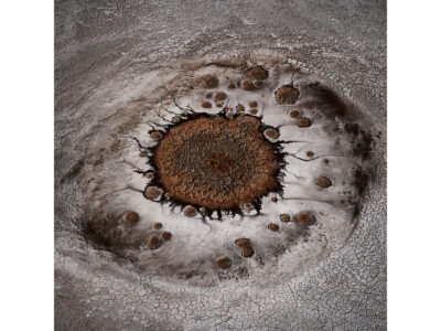 Nature's Eye