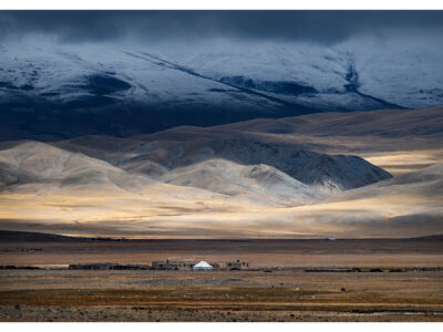 Farmlife Mongolian