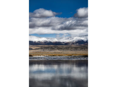 Mongolias Reflection