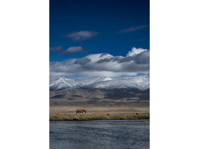 Mongolian Trail
