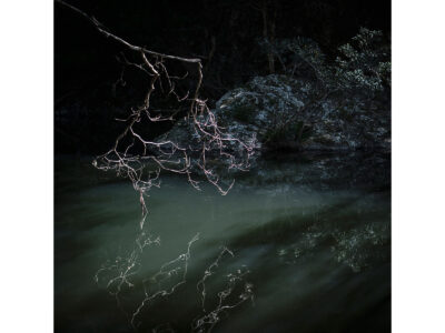 Natures Shadows