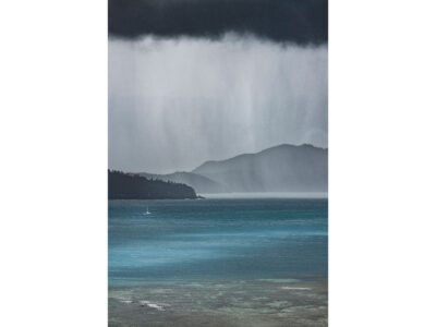 Sailing The Storm