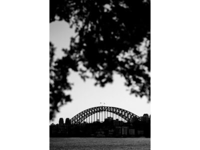 Sydney's Shadows