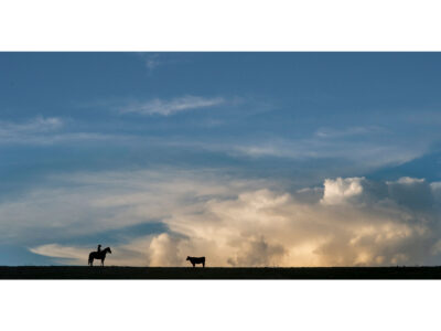 Cowboy Dreaming