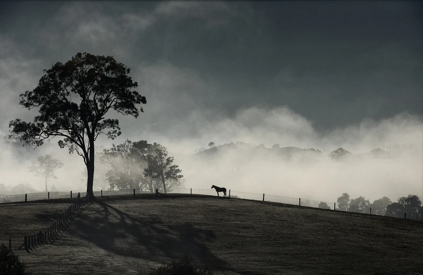 David Oliver work
